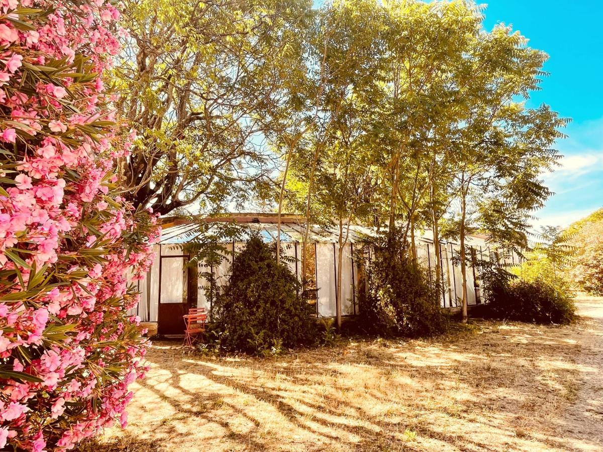 Tres Belle Rotonde Deco Boheme, Tennis, Parking Nimes Luaran gambar